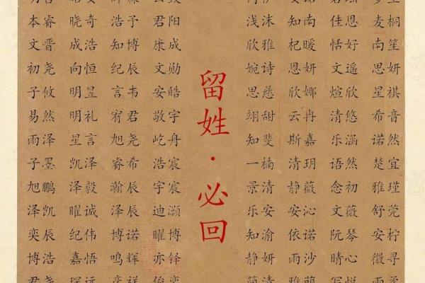 属蛇丑时出生的男孩怎么取名字，宜用什么字姓名