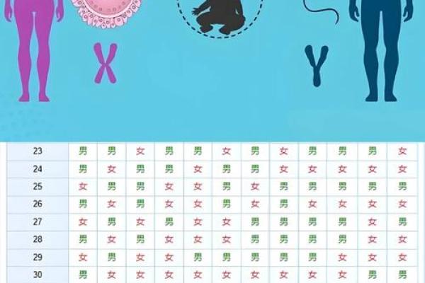 免费算命一生有几个孩子,子女线要怎么看 免费算命一生有几个孩子,子女线要怎么看