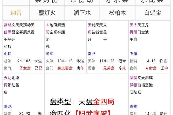 【紫微斗数】排盘技巧038：紫微斗数的未来发展