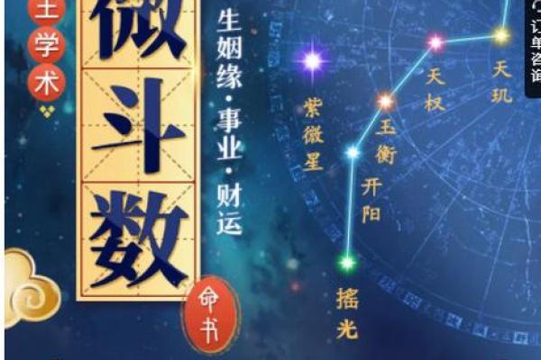 紫薇斗数盘是什么