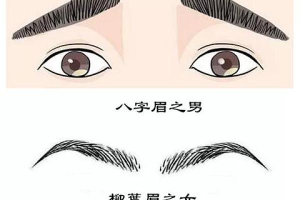 八字眉眉尾下垂的男人适合结婚吗