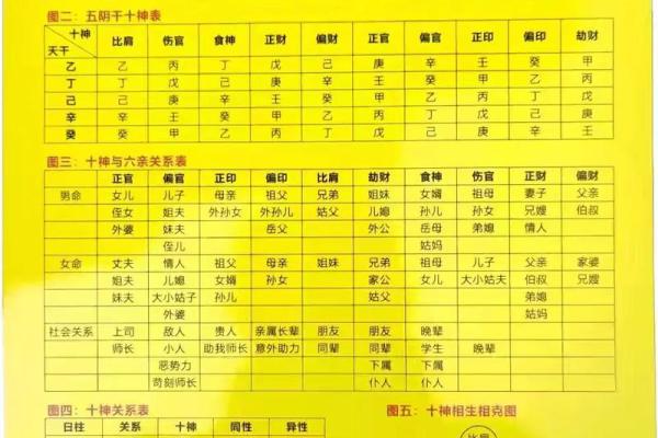 白鹤神数量指算命