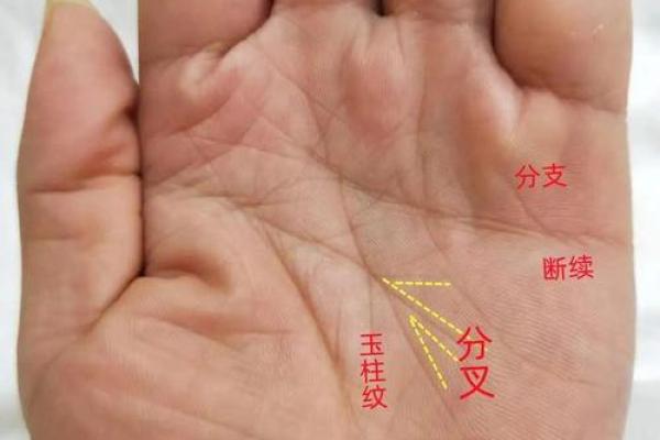 算命中的驳杂是什么意思  算命中什么叫末运