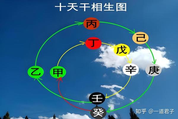 八字十天干的特点要义(下) 八字十天干的特点要义(下)