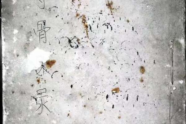 白鹤老师算命不准