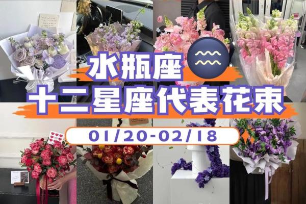 水瓶座比较适合结婚的星座