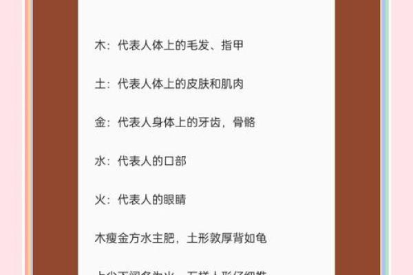 八字干支身体部位对照表 八字干支身体部位对照表