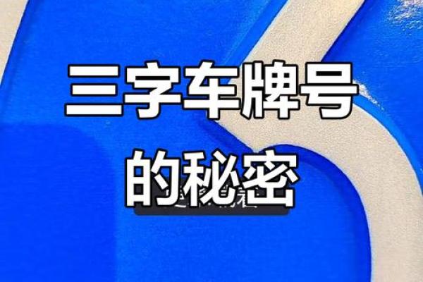 三藏车牌号码吉凶测试