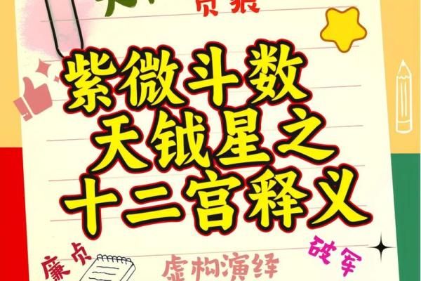 紫薇斗数反推生辰