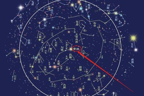 紫薇斗数铃星平