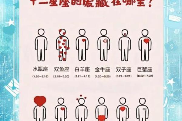 塔罗星座未来45天运势