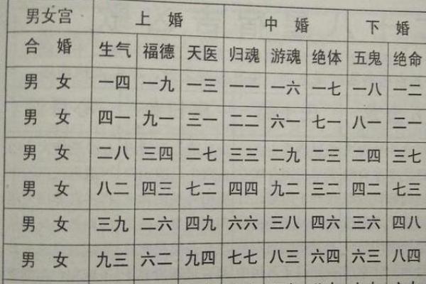 算命中鹰扬卦什么意思