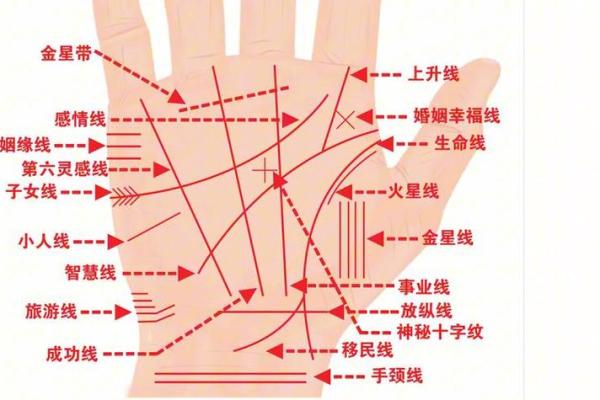 手相算命的基本原则