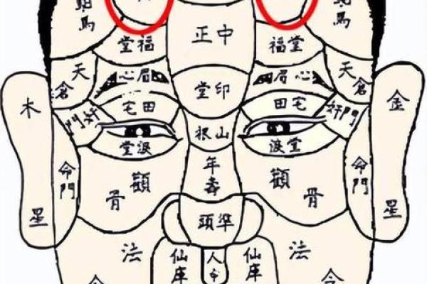 面相解析：额头面相算命图解