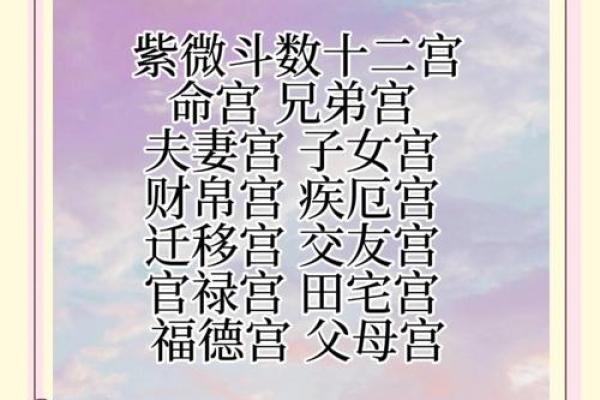 紫薇斗数宫位阴阳