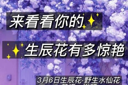 7月12日生日花语：金鱼草，7月12日是什么星座？