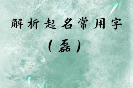 2019年5月20号丑时出生的男孩起名方法姓名