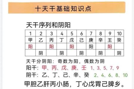八字命理入门基础知识「方便初学」