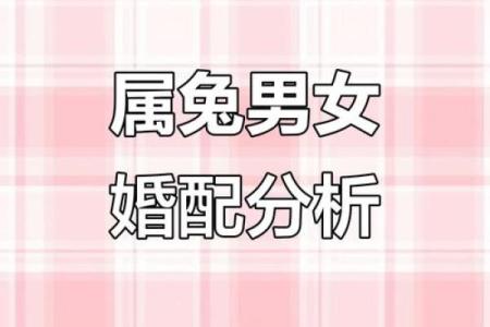合八字属兔男与属蛇女适合做夫妻吗 婚配好吗