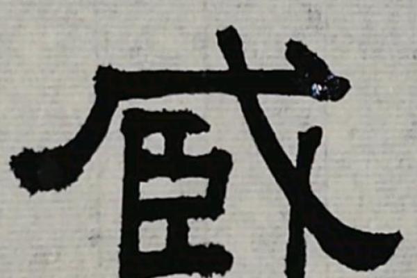 臧姓女孩名字大全-臧姓女孩起名字大全-臧姓名字大全姓名