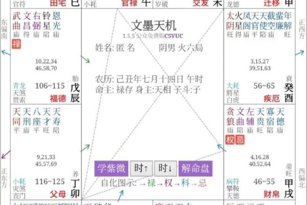紫薇斗数各星意象