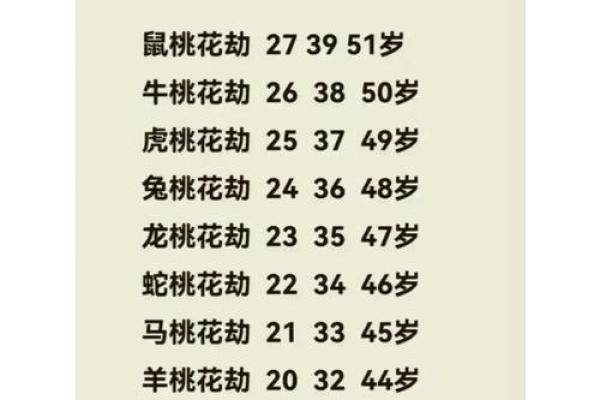 算命桃花女是什么意思呀