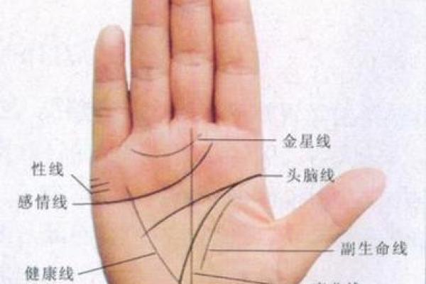 手纹算命图解【高清】