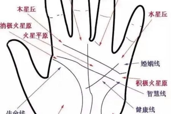 手纹算命图解【高清】