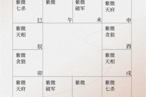 紫薇斗数一岁在哪里