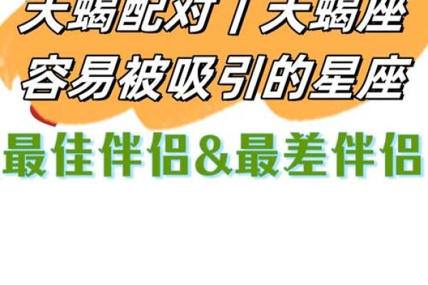 天蝎与哪个星座工作最匹配