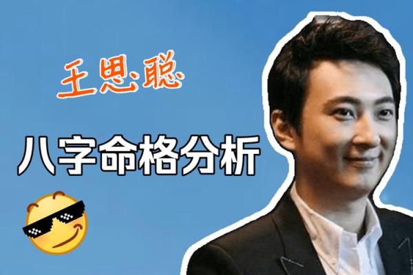 八字王思聪 八字王思聪