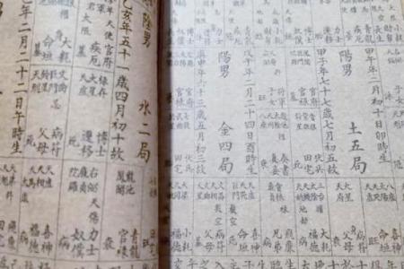 算命紫薇斗数免费算命