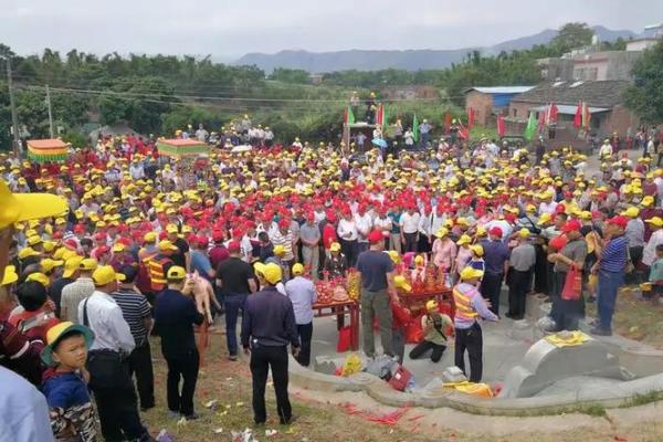 双猪双羊算命详解