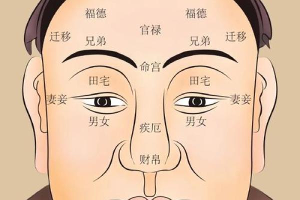 紫薇斗数科名星 紫薇斗数科名星