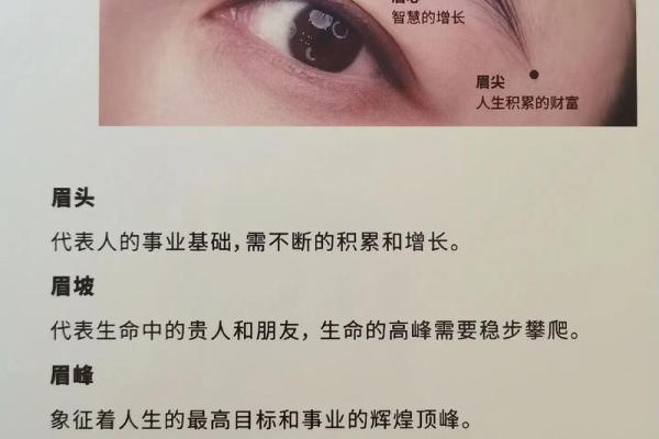 面相图解-八字眉面相算命及特征