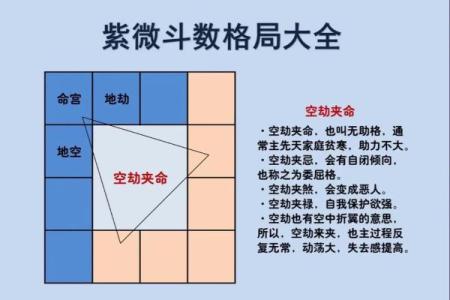 紫薇斗数详细批
