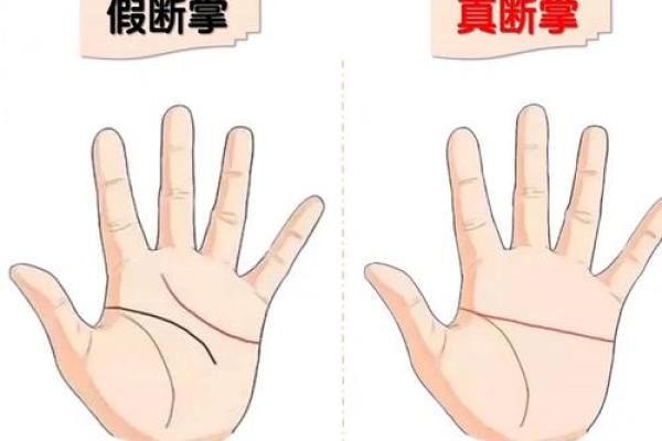 男人断掌手相算命,男人掌纹图解算命