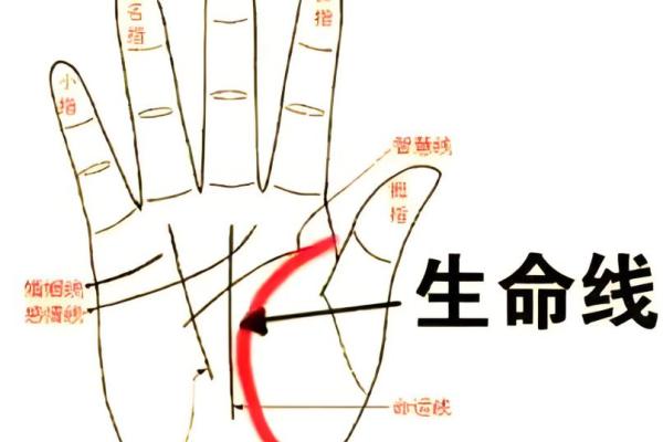 男人断掌手相算命,男人掌纹图解算命