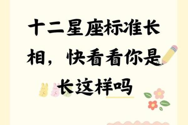 十二星座适合长什么样的人