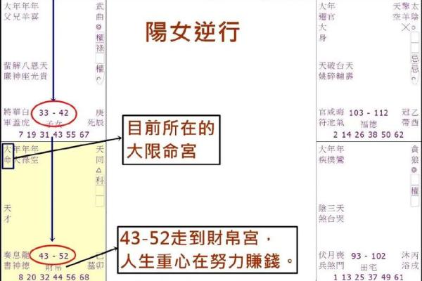 什么紫薇斗数的人适合去大城市发展