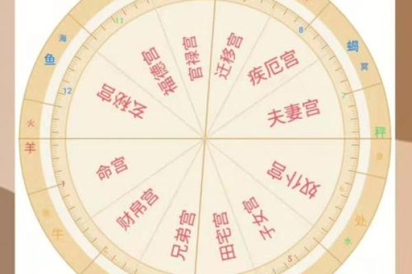 斗数杂谈】中州派十二宫定义 紫微斗数的星盘共分十二宫