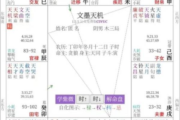 紫微斗数失陷 紫微斗数陷落？