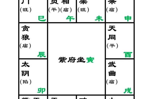 名人紫薇斗数格局