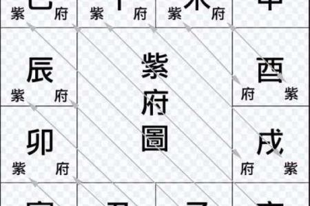 紫微斗数命宫在寅紫薇天府