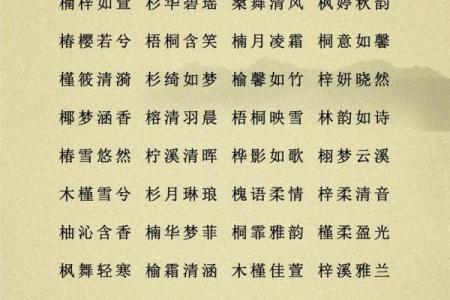 2019年4月11号卯时出生的男孩起名方法姓名