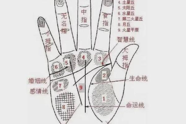 图解：手相障碍线算命