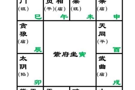 能嫁好老公的紫微命盘 必嫁贵夫的紫微斗数