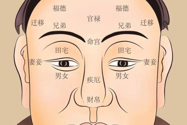 面相算命，让你分钟看透一个人