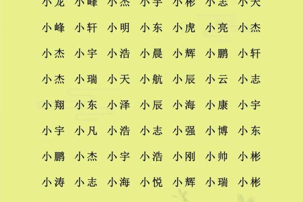 晚上10点出生的属鸡男孩用什么字取名字合适姓名