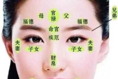 面相算命，让你分钟看透一个人